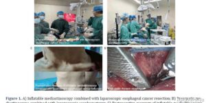 Una cirugía pionera transforma el futuro reproductivo de pacientes tras superar el cáncer