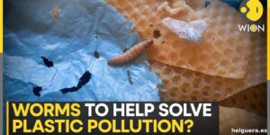 Innovaciones biotecnológicas y desafíos reales tras la controvertida geoingeniería ambiental