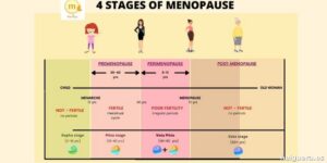 Desmitificando la perimenopausia: lo que la tecnología revela más allá del ruido mediático